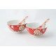 B17 Bowlset